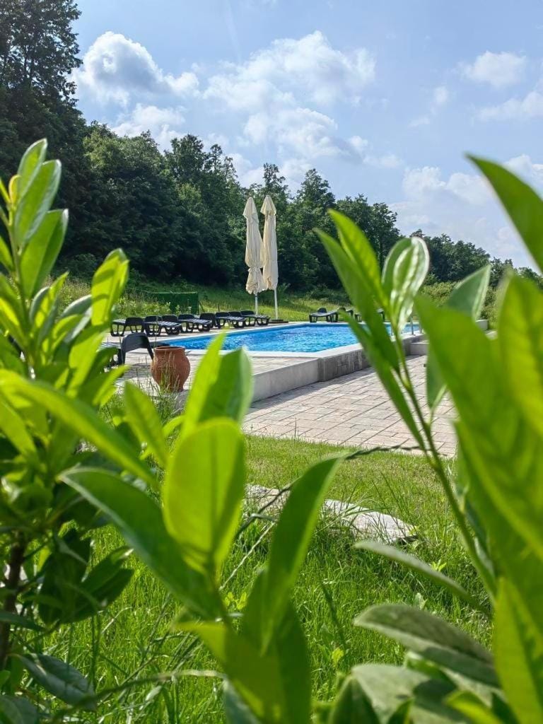 Palanačka Avlija 1 Resort in Vojvodina