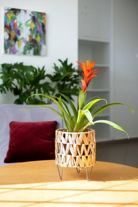 Best spot apartment in Athens Apartment in Athens