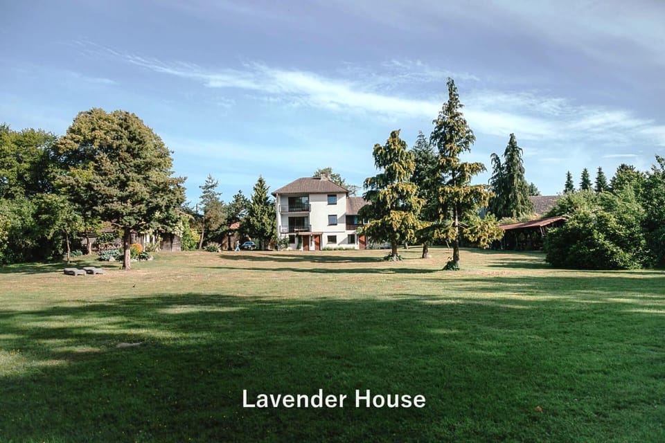 Property building, Natural landscape, Garden, Garden view