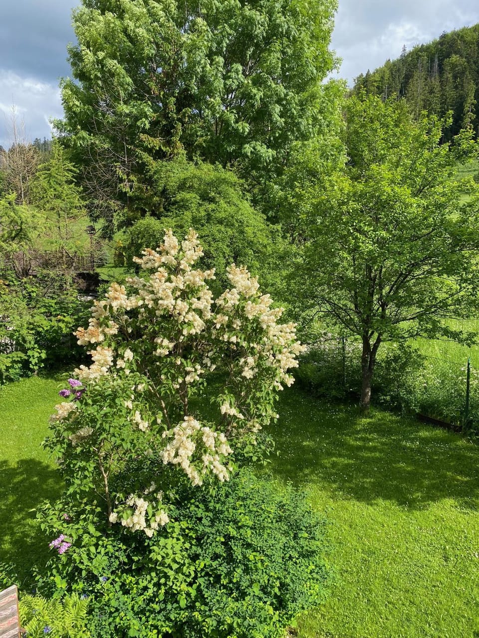 Spring, Day, Natural landscape, Garden, Garden view
