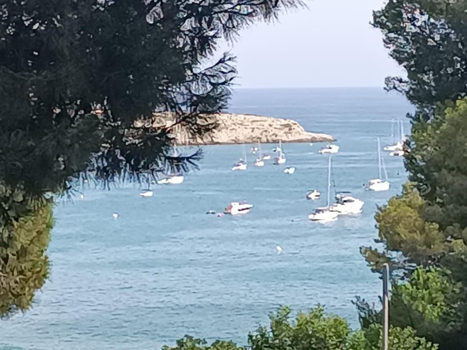 Sea view