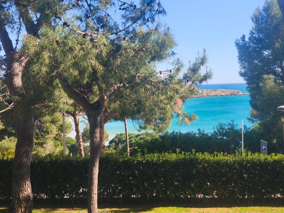 Natural landscape, Sea view