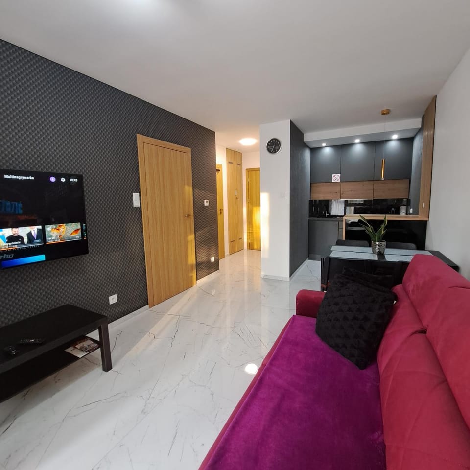 Apartament Silver Apartment in Lower Silesian Voivodeship