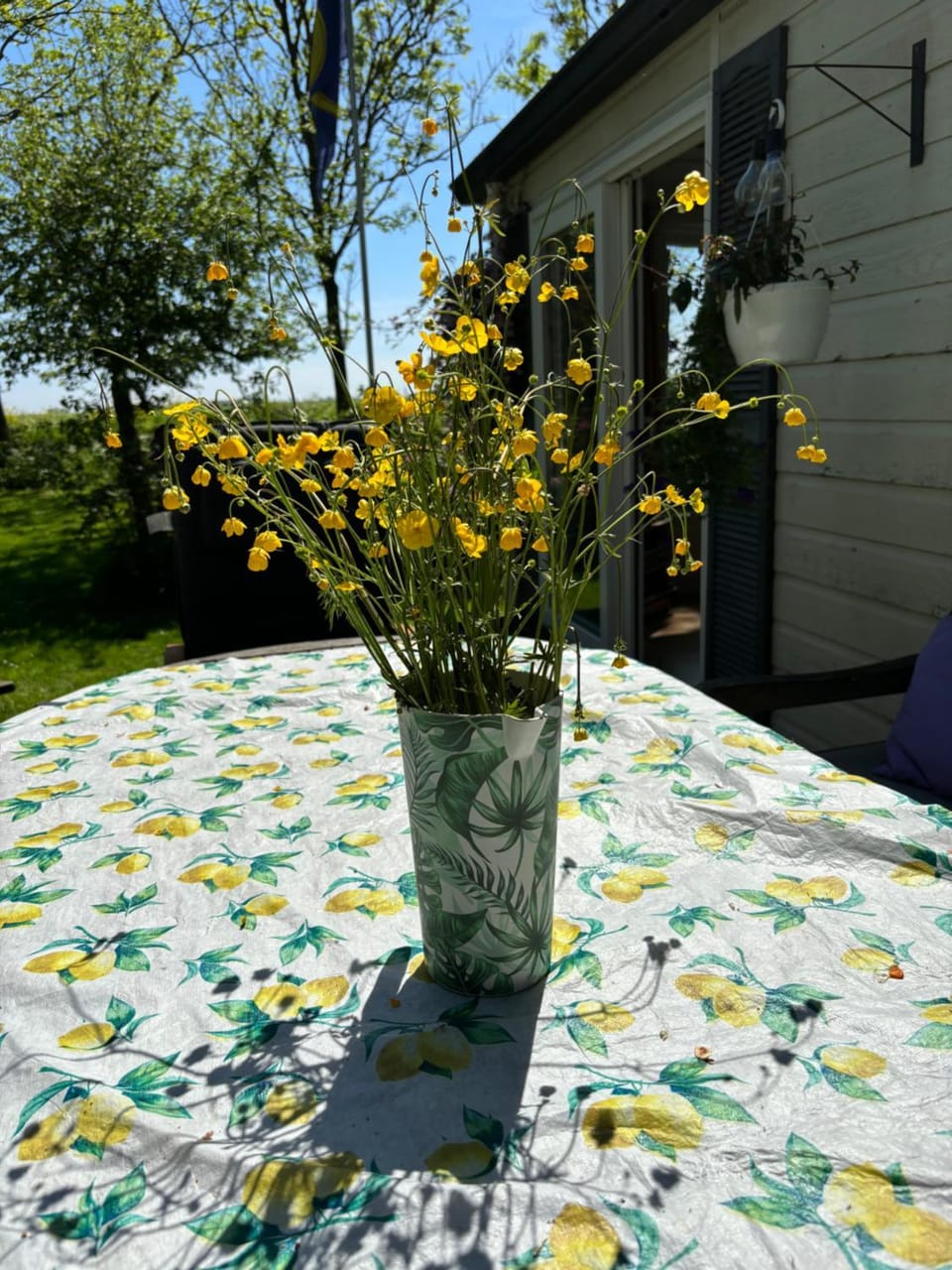 Chalet in Heeg aan het water Chalet in Friesland, Netherlands