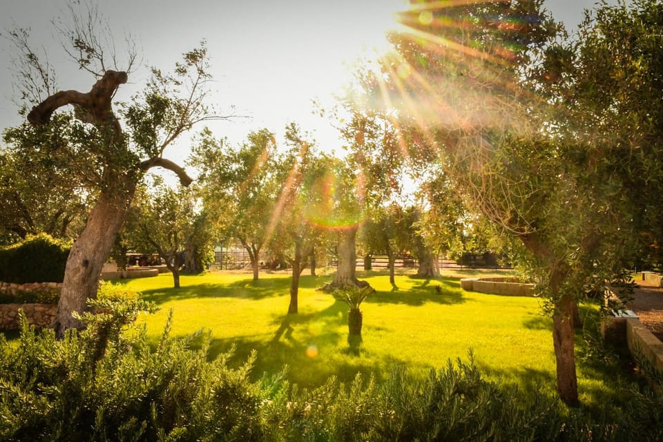Day, Natural landscape, Garden, Garden view