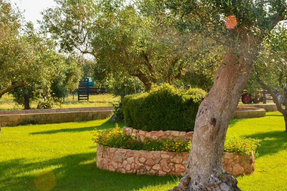 Day, Natural landscape, Garden, Garden view