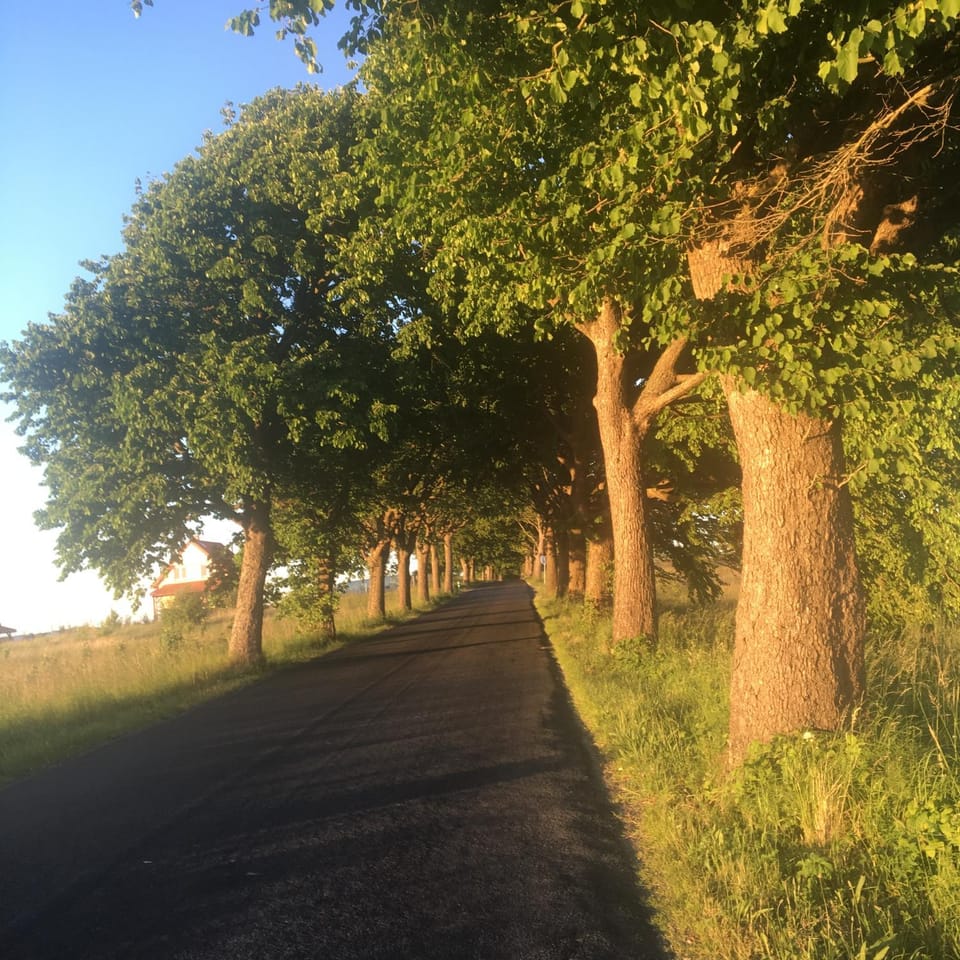 Nearby landmark, Neighbourhood, Natural landscape, Activities, Landmark view, Street view