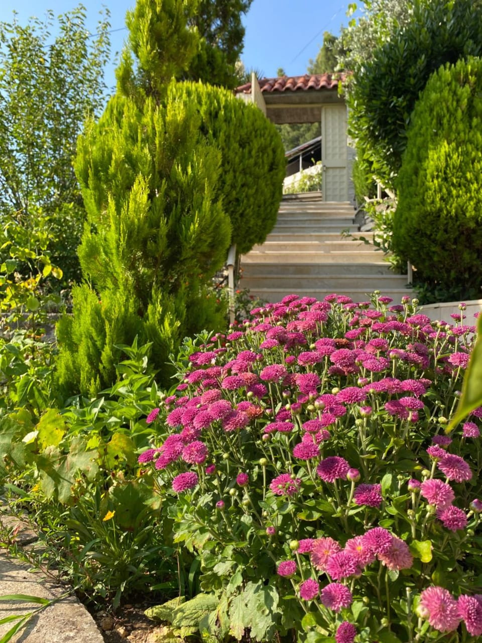 Garden, Garden view