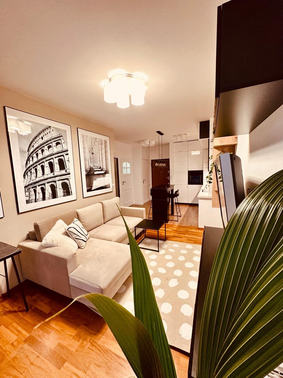 Living room, Photo of the whole room, Seating area