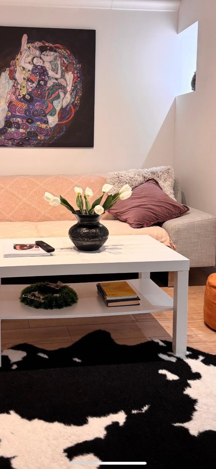 HUGO OLD TOWN Apartment in Belgrade