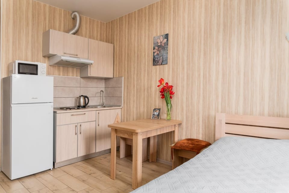Bed, Kitchen or kitchenette, Photo of the whole room, Dining area, Bedroom, stove, kitchen