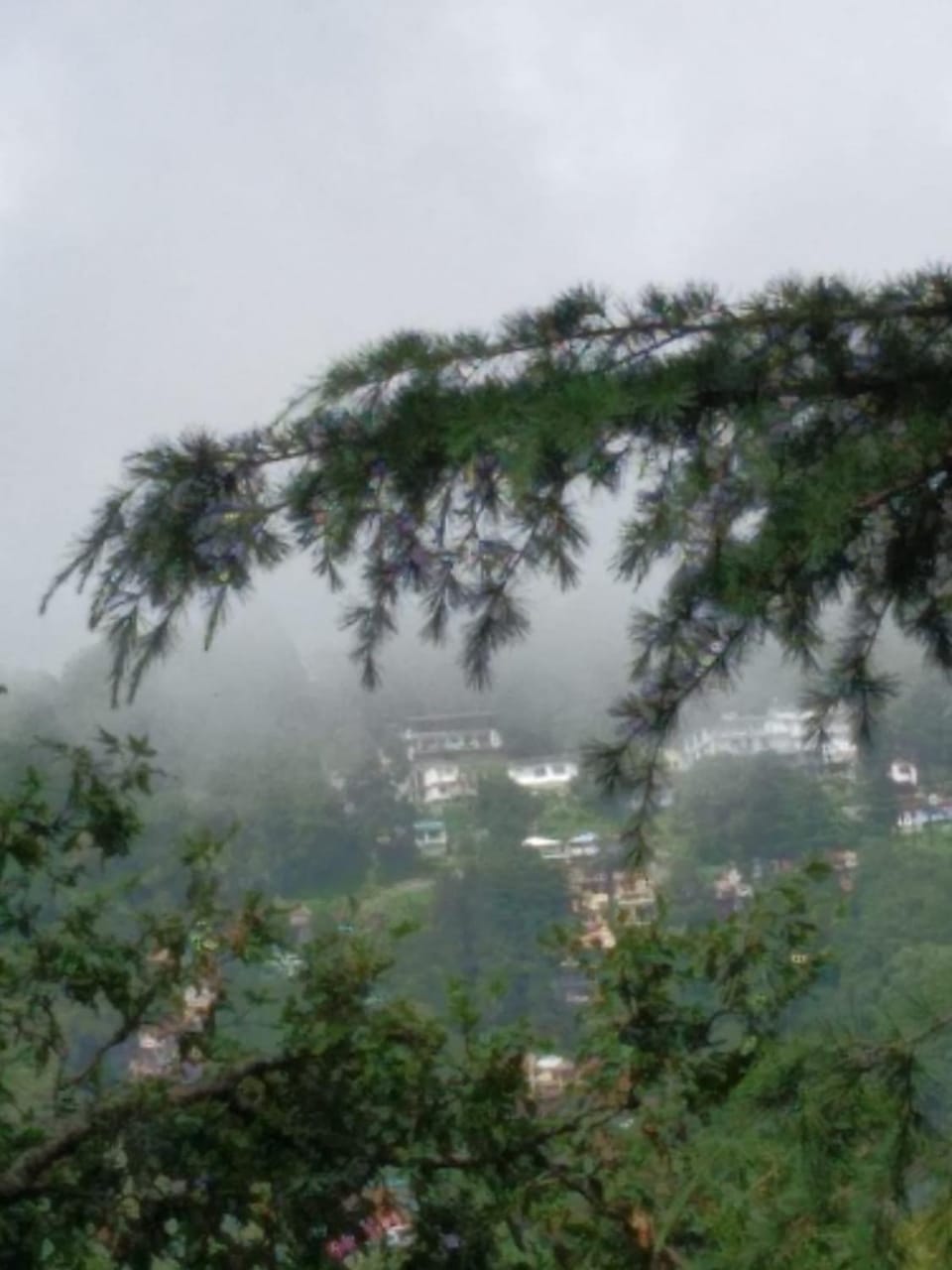 View (from property/room)