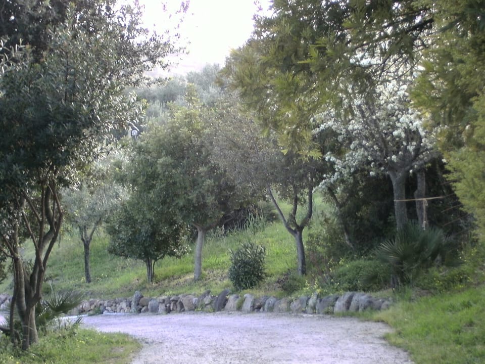 Area and facilities