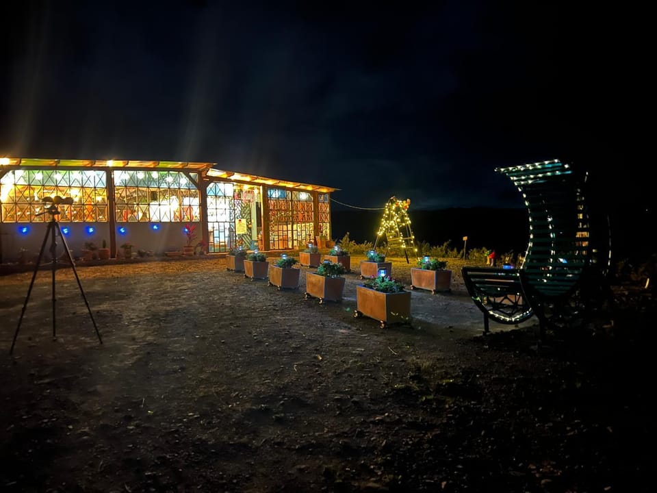 Night, Garden view