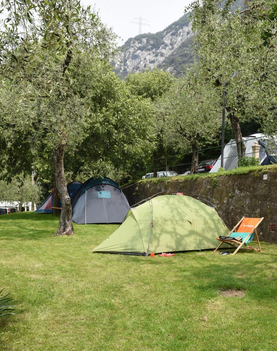 Natural landscape, Garden, Mountain view