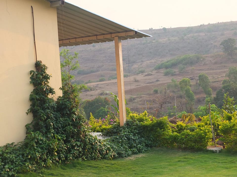 Day, Garden view, Mountain view