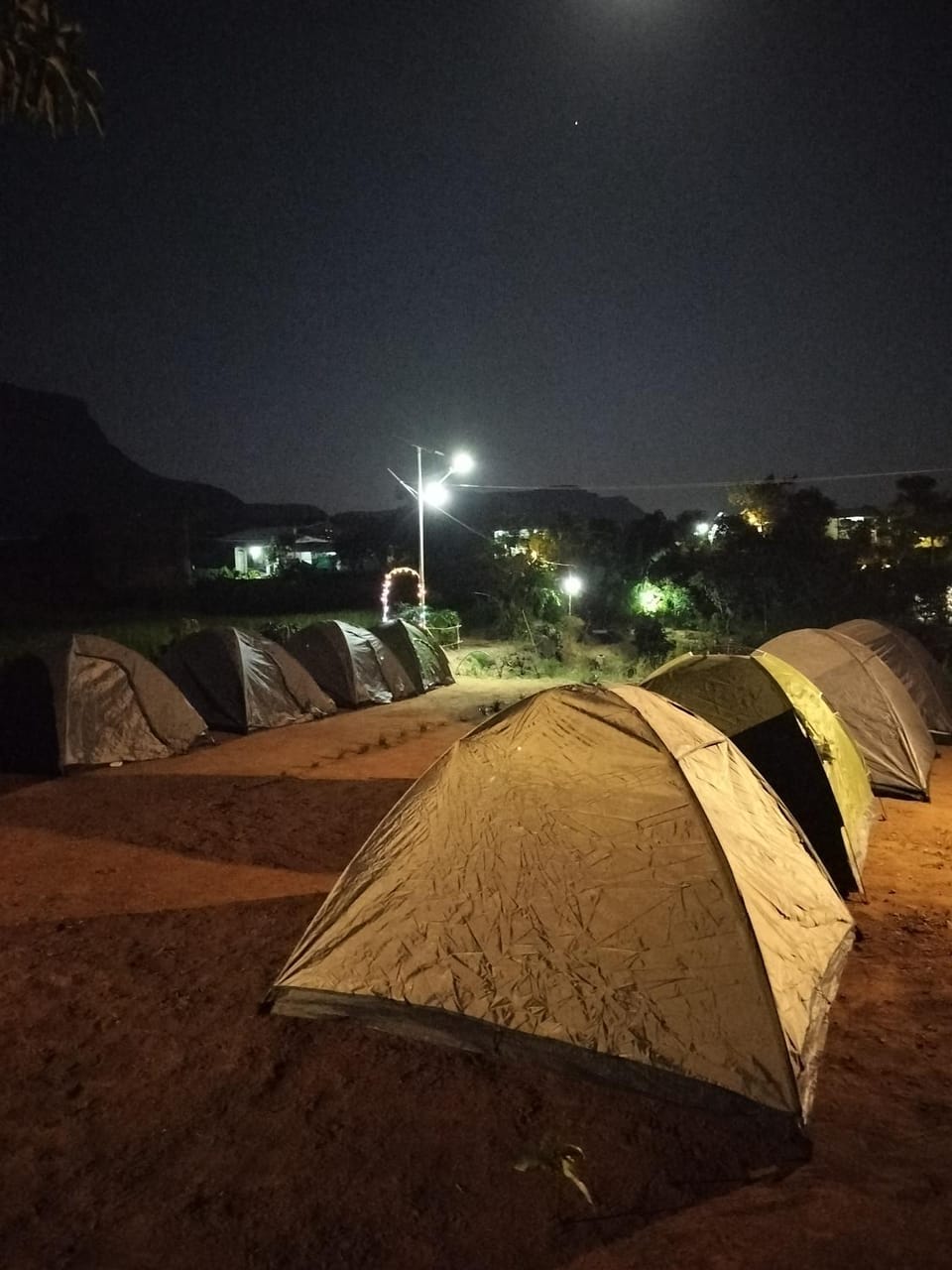 Night