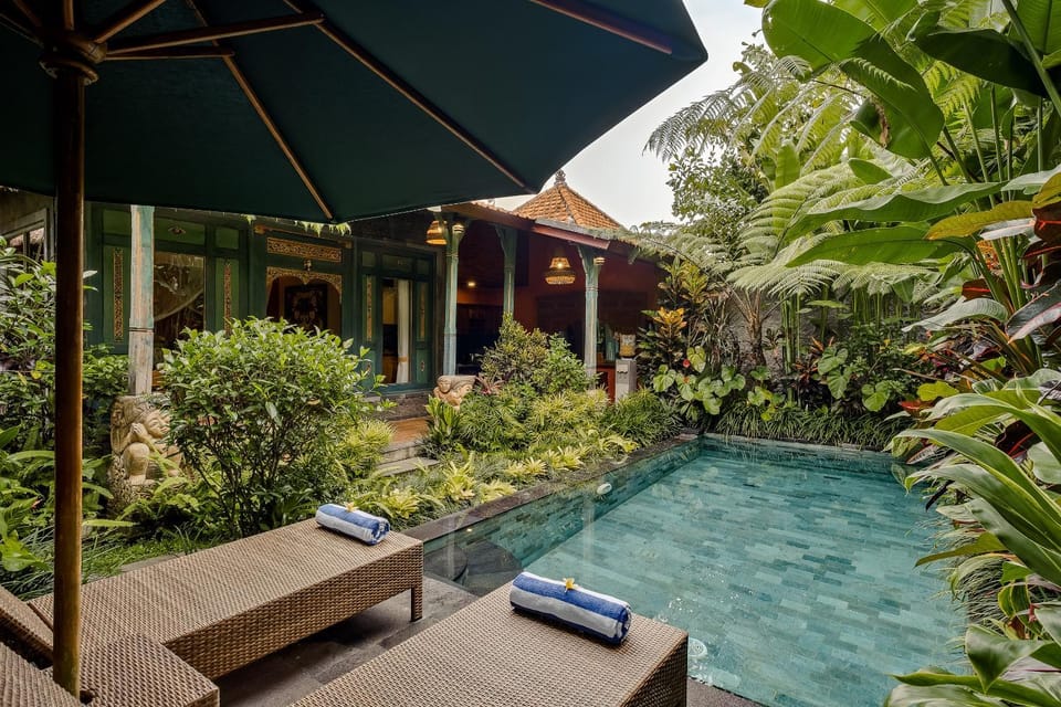 Patio, Day, Garden, Garden view, sunbed