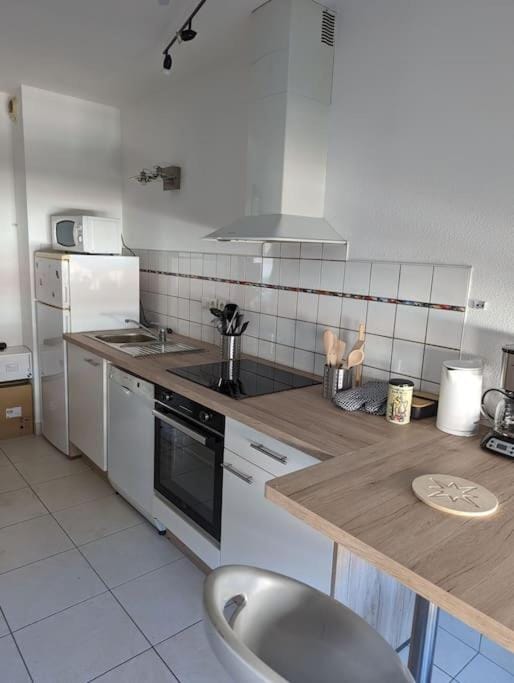 appartement plein centre Saint die des Vosges- proximité gare- proche Gérardmer Apartment in Vosges