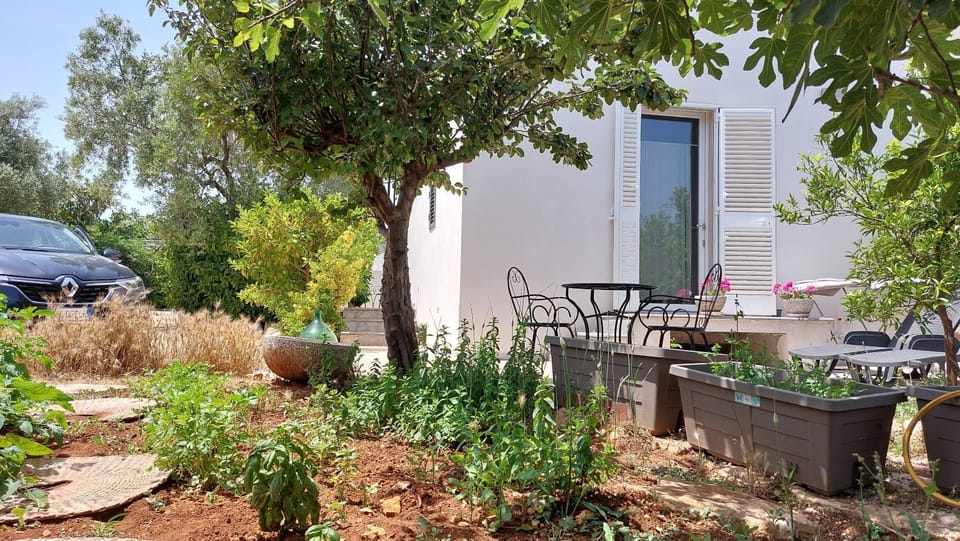 Garden, Garden view, Parking