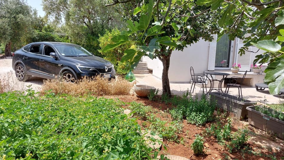Property building, Garden, Garden view, Parking