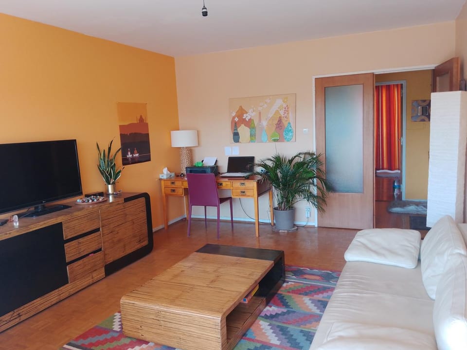 Appartement avec balcon : Le Serenity Apartment in Grand Est