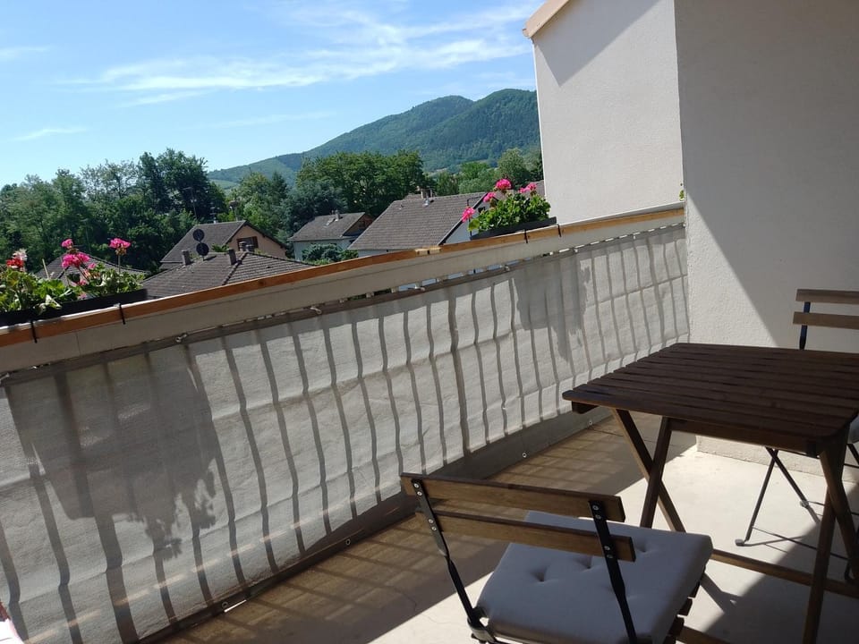 Appartement avec balcon : Le Serenity Apartment in Grand Est