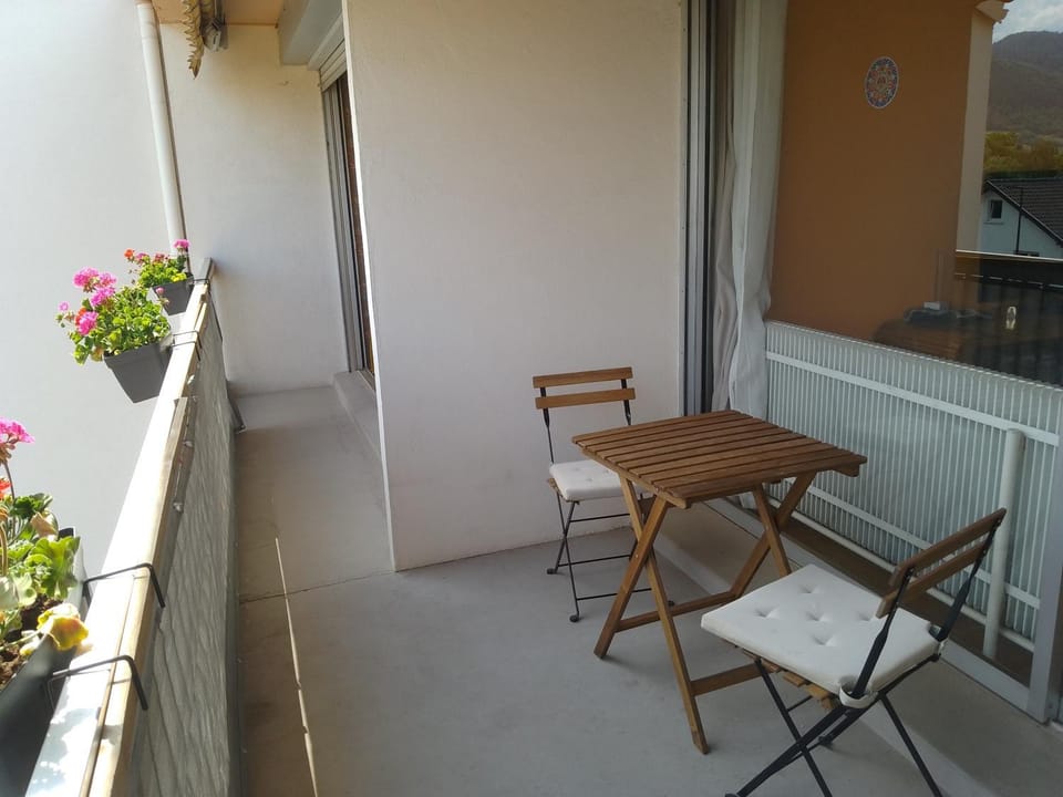 Appartement avec balcon : Le Serenity Apartment in Grand Est