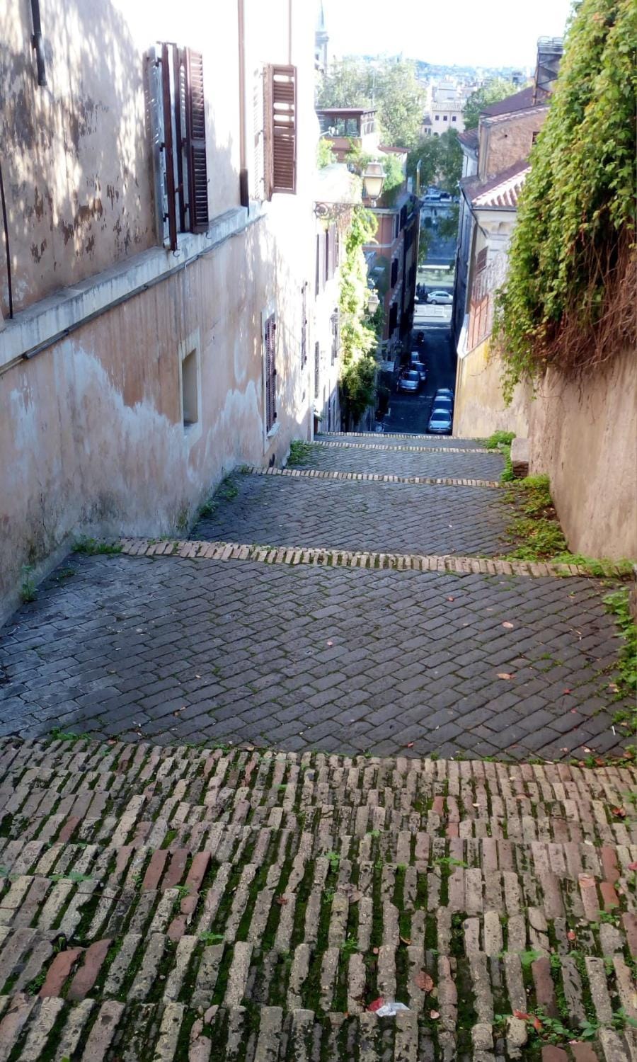 Neighbourhood, Street view