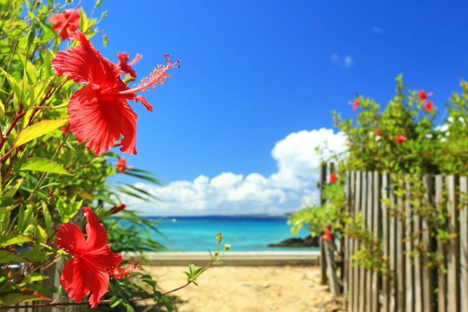 サンセットビューコテージ本部 Apartment in Okinawa Prefecture