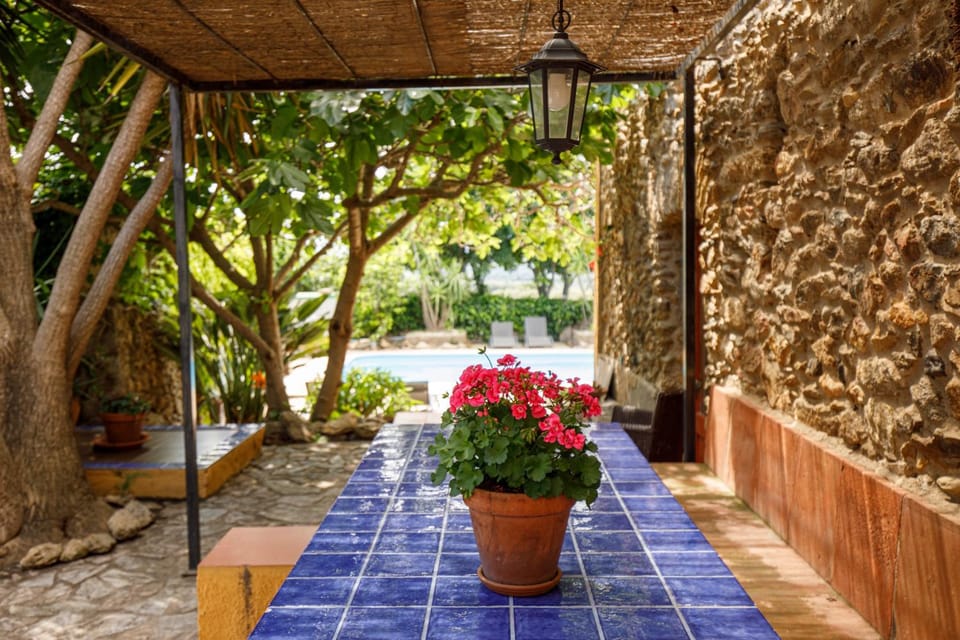 Natural landscape, Garden, Garden view