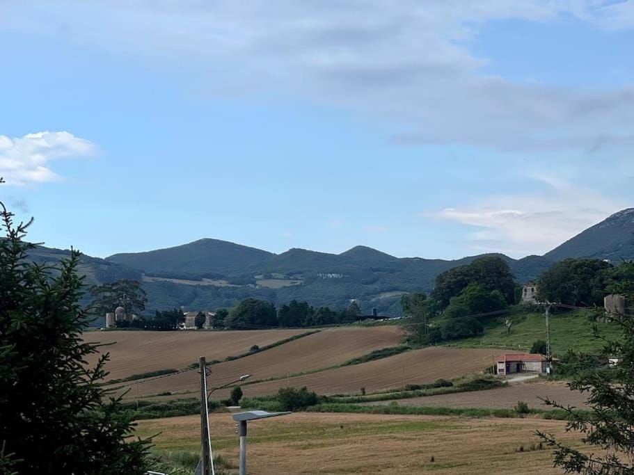 Natural landscape