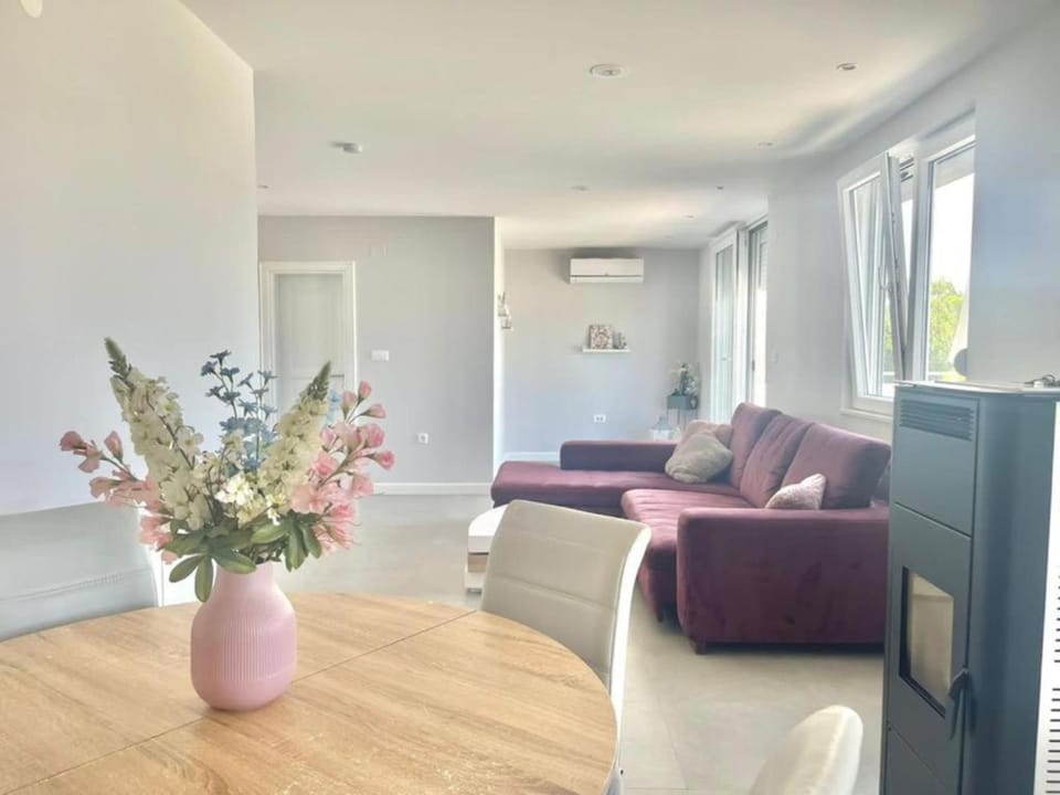 Living room, Seating area, air conditioner
