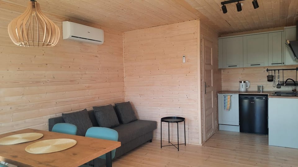 Kitchen or kitchenette, Living room, Seating area, Dining area, stove, air conditioner