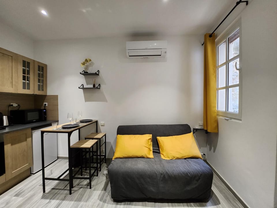 Studio climatisé avec cour privé en Rez-de-chaussée centre historique Apartment in Avignon