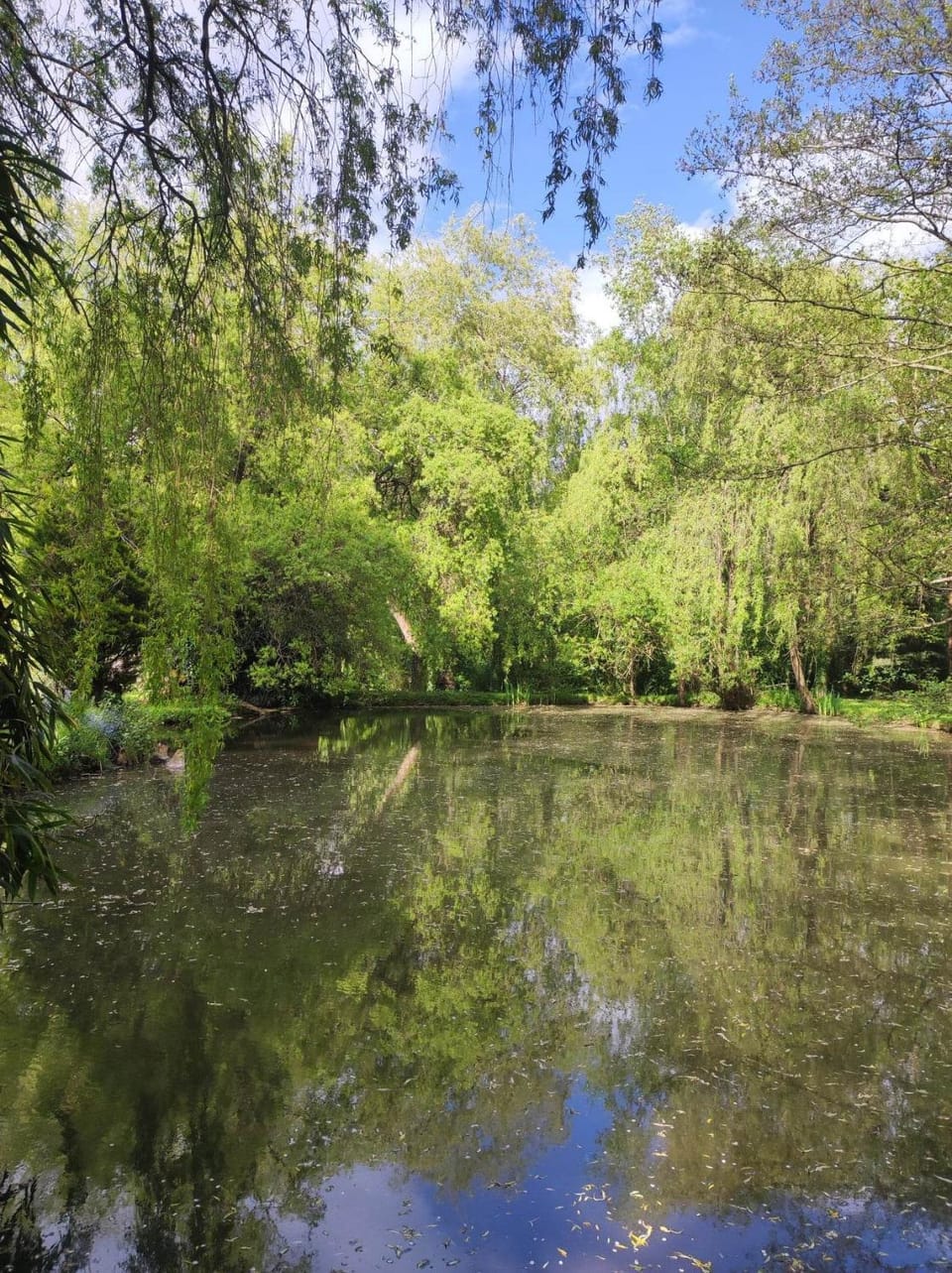 Natural landscape, Lake view