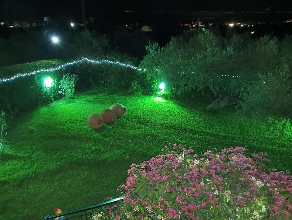Dimitra's garden Two Houses House in Messenia