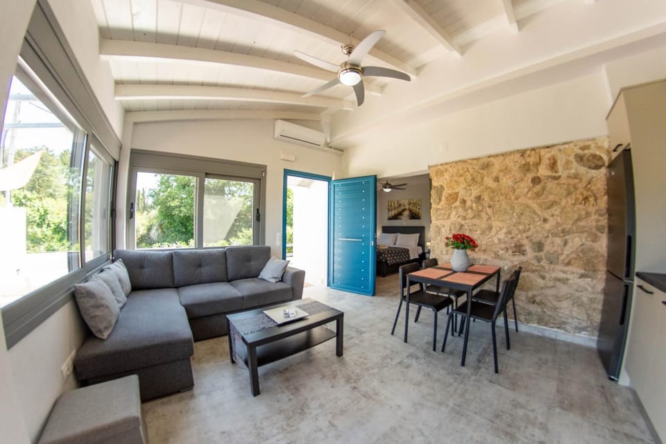 Kitchen or kitchenette, Living room, Seating area, Dining area, fireplace