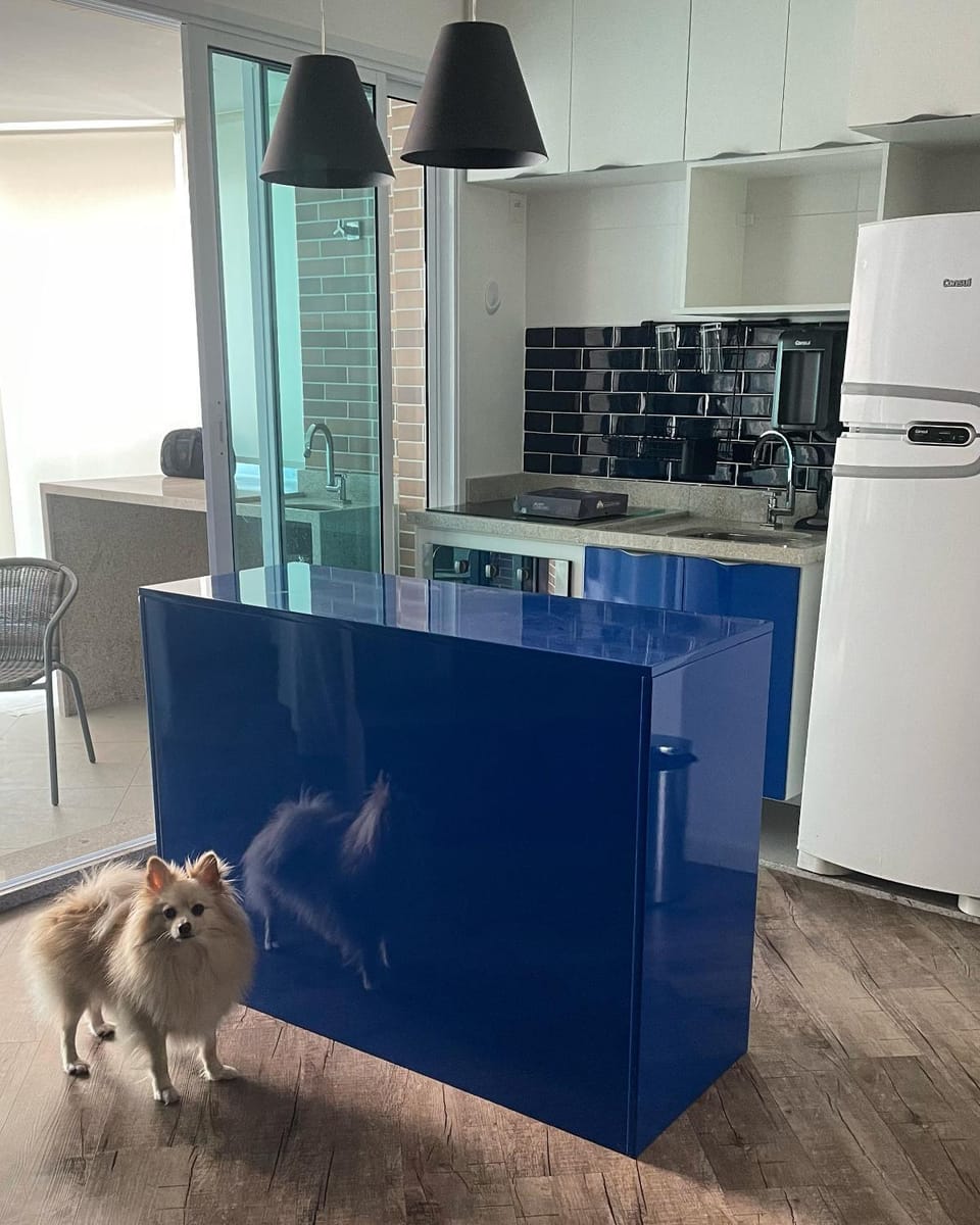 Kitchen or kitchenette, Pets