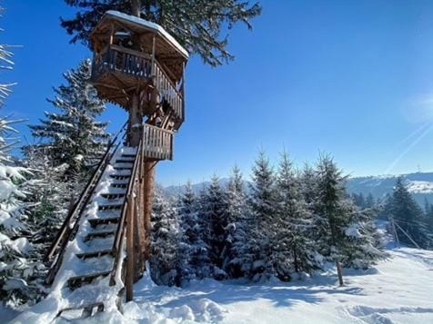 Natural landscape