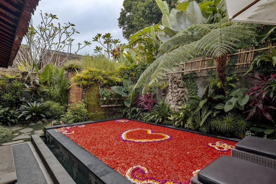 Garden, Swimming pool