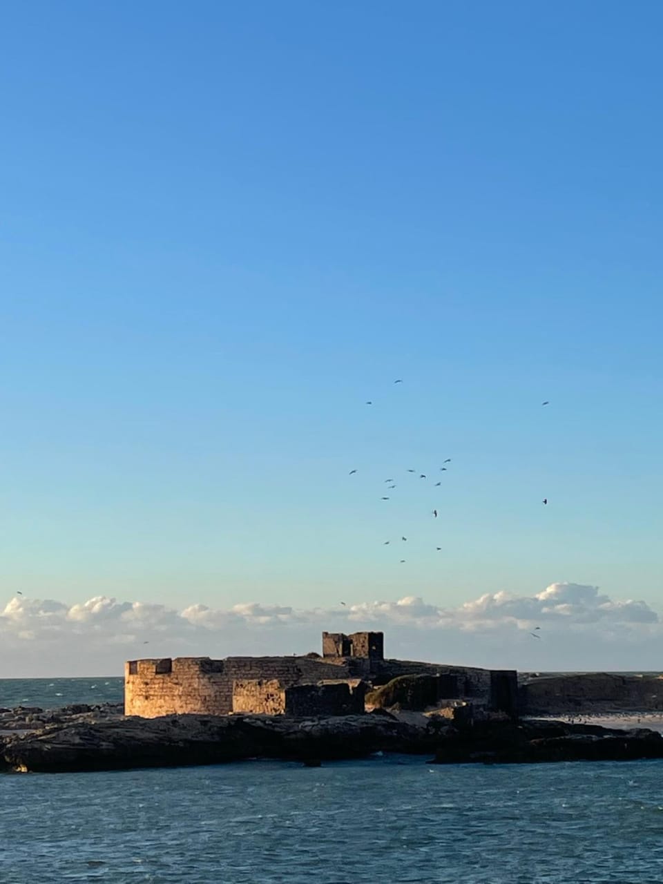 La Symbiose Essaouira Vacation rental in Essaouira