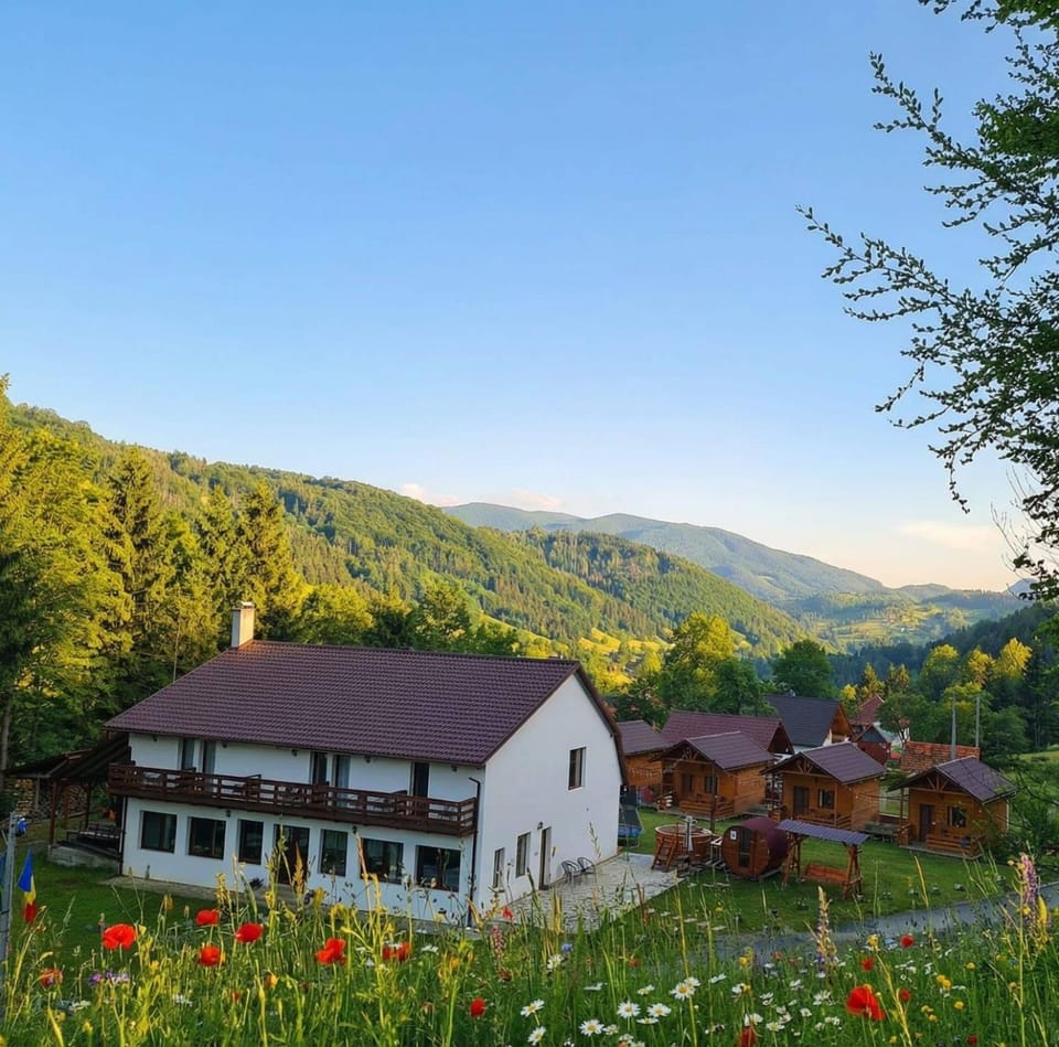 Property building, Spring, Day, Natural landscape, Mountain view