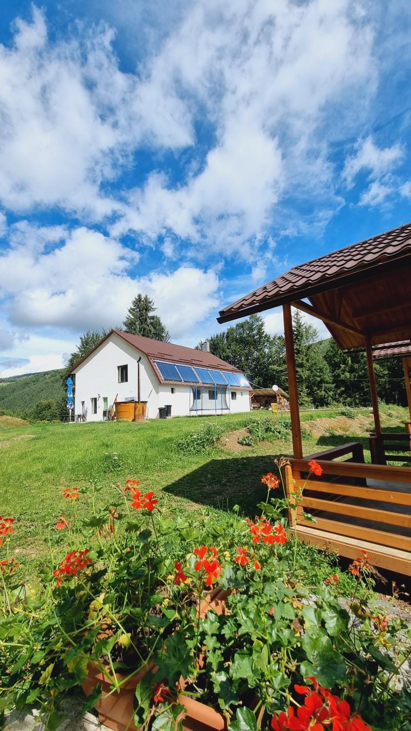 Natural landscape, Garden view