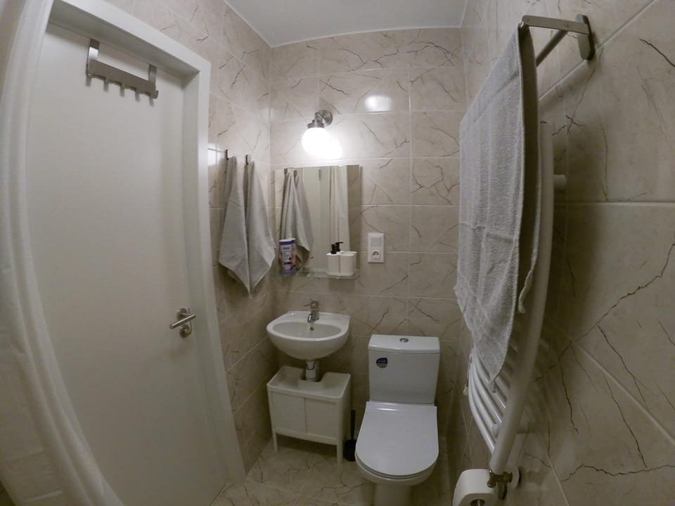 Shower, Toilet, towels