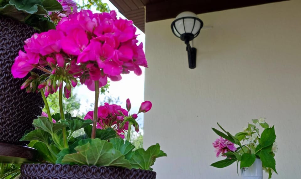 Day, Balcony/Terrace, Garden view