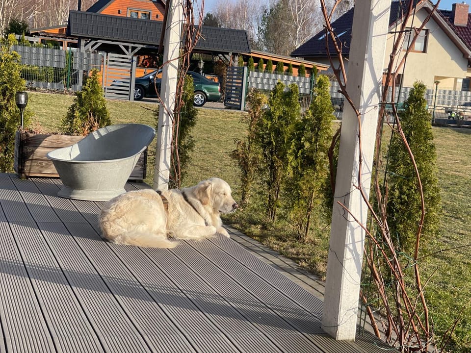 Radaczowa Chatka House in West Pomeranian Voivodeship, Poland