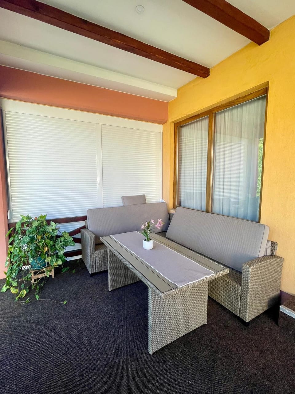 Apartman Zlatić Apartment in Serbia