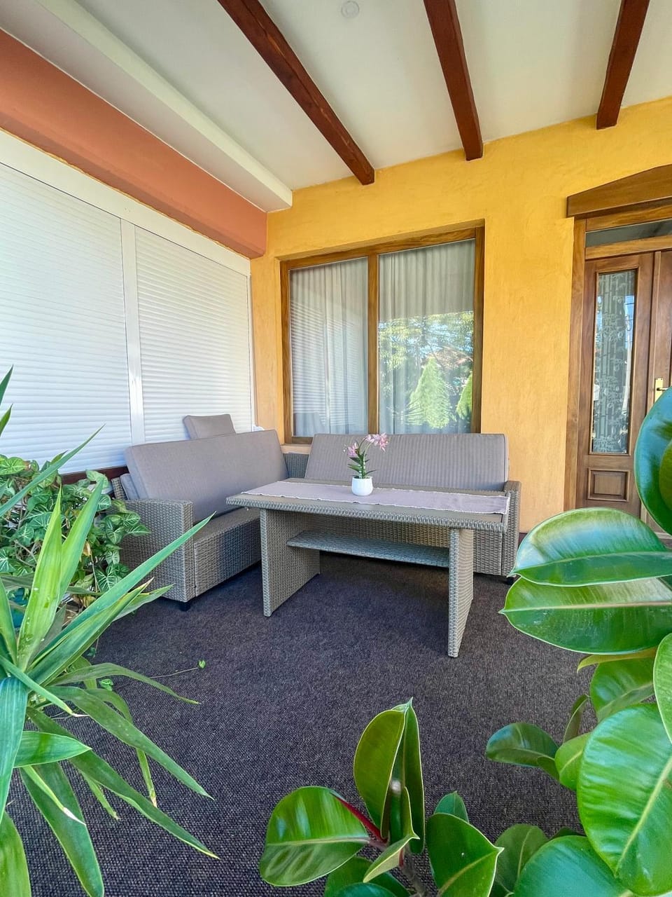Apartman Zlatić Apartment in Serbia