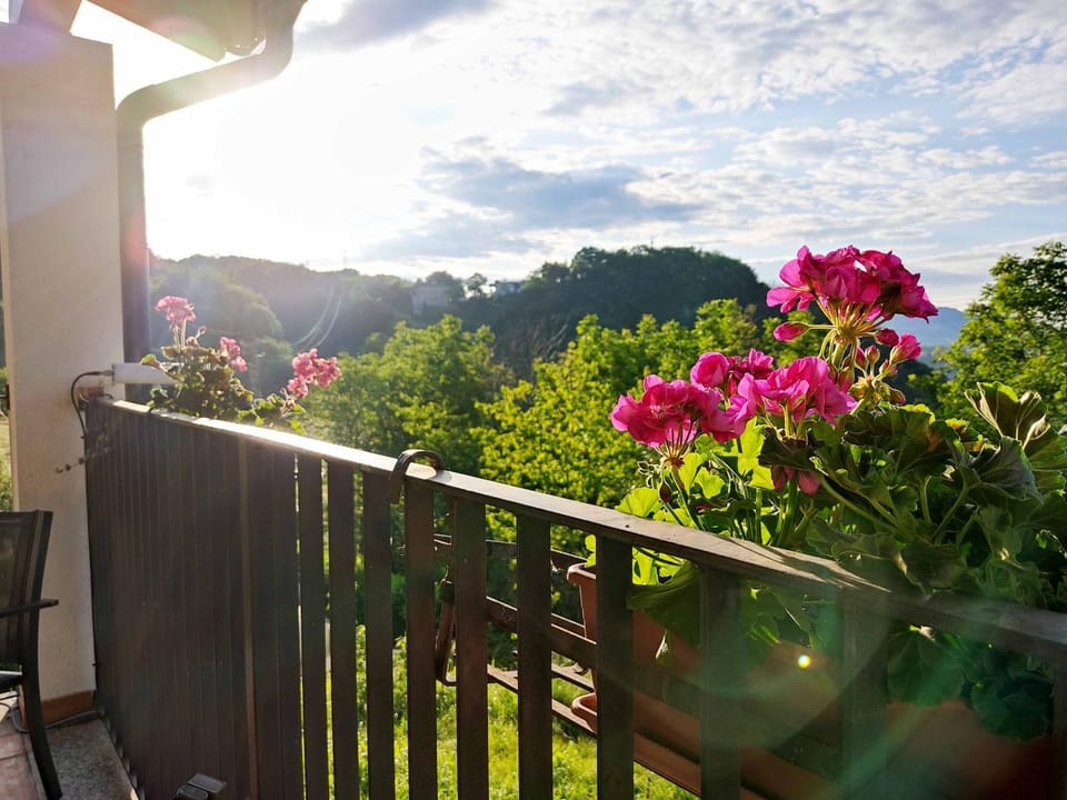 Spring, Day, Natural landscape, Summer, Garden, View (from property/room), Balcony/Terrace, Garden view